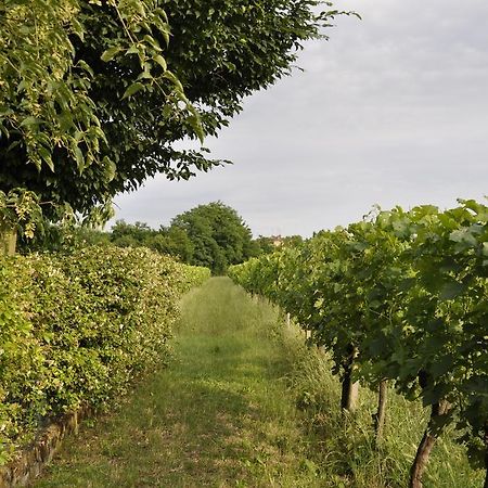Casa Griunit Villa Capriva del Friuli Ngoại thất bức ảnh