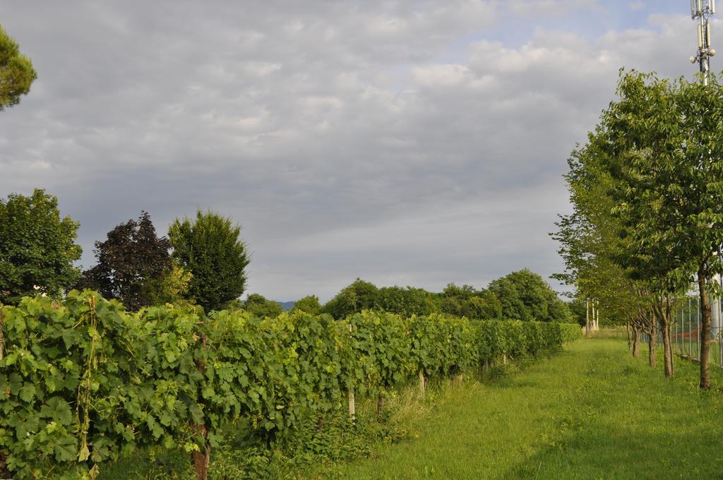 Casa Griunit Villa Capriva del Friuli Ngoại thất bức ảnh
